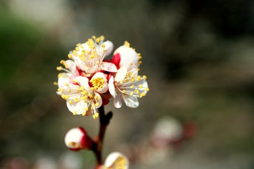 1200毫升的油如何经900和500毫升的罐子分出100和500毫升