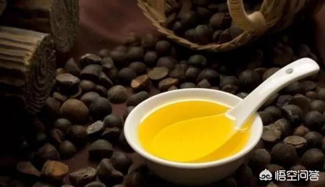 一斤山茶籽能炸出几两油？