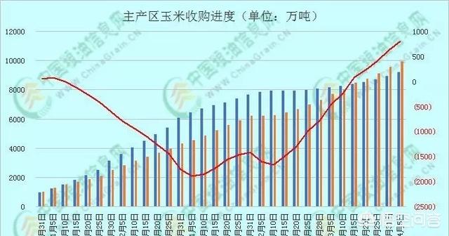 玉米价格逐步回暖，五一有望突破资一元每斤吗？